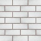 Кирпич силикатный облицовочный М150 (Стройберг) 250х120х88мм 1,4НФ, серебристо-серый, 3 отв /288
