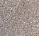 Плитка напольная Алькон (Primavera) 410х410х8,5мм, серый (1уп=10шт=1,68 м2)