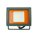 Прожектор светодиодный PFL-SC (JazzWay) 20Вт, 6500К, IP65, холодный свет