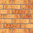 Кирпич керамический облицовочный М200 (Ликолор) 250х120х65мм, 1НФ, тайга, морошка, скала /480