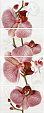 Плитка панно Fiori Орхидея, 4 плитки, 1000х400мм