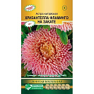 Семена Астра китайская "Хризантелла Фламинго на закате" (Евросемена) 5шт