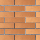 Кирпич керамический облицовочный М125 (Ленинск-Кузнецк) 250х120х65мм, красный /270